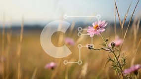 Intra Συλλεκτικό Ξύλινο Παζλ Plywood 4mm - Μονό ροζ λουλούδι σε ψηλό γρασίδι Σε Ξύλινο Κουτί - Διαστάσεις: 10x10 cm – 25 κομμάτια