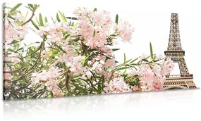 Εικόνα Πύργος του Άιφελ και ροζ λουλούδια