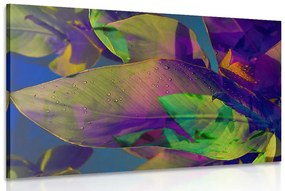 Εικόνα χρωματιστά φύλλα - 60x40