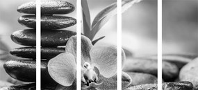 Διαλογισμός εικόνας 5 μερών Σύνθεση Zen σε ασπρόμαυρο