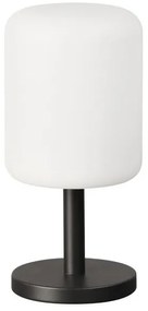 Επαναφορτιζόμενο Επιτραπέζιο Φωτιστικό 2xLED Ανθρακί RGBW ΙΡ54 Volterra Pro 850383 Fischer Honsel-850383-Ανθρακί 850383