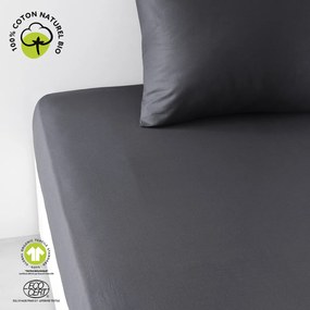 Σεντόνια με λάστιχο Today  DH 180/200+30 Coton TODAY Organic Fusain