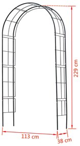 Nature Αψίδα Κήπου Μαύρη 229 x 38 x 113 εκ. Μεταλλική - Μαύρο