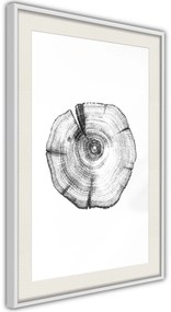 Αφίσα - Tree Rings - 30x45 - Μαύρο - Με πασπαρτού