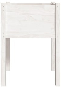 vidaXL Ζαρντινιέρα Λευκή 50 x 50 x 70 εκ. από Μασίφ Ξύλο Πεύκου