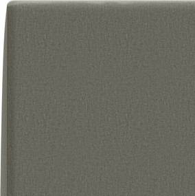 vidaXL Μαξιλάρι πλάτης SOEST 100% Πολυεστέρας Γκρι 120 x 20 x 40 cm