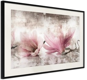 Αφίσα - Picked Magnolias - 30x20 - Μαύρο - Με πασπαρτού