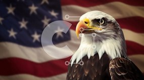 Intra Συλλεκτικό Ξύλινο Παζλ Plywood 4mm - Φαλακρός αετός ενάντια στην αμερικανική σημαία Σε Ξύλινο Κουτί - Διαστάσεις: 10x10 cm – 25 κομμάτια