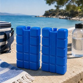 ΦΟΡΗΤΆ ΨΥΓΕΊΑ - ΠΑΓΟΚΎΣΤΕΣ COOLING ELEMENT SET 2PCS 200 GRAM