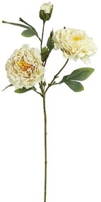 Τεχνητό Λουλούδι Παιώνια 00-10000-5 71cm Ecru Marhome Plastic, Fabric