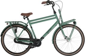 Transporter 3.3 28 Inch 57 cm Men 3SP Roller brakes Matte GreenBimas