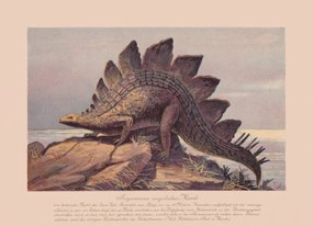 Εικονογράφηση Stegosaurus ungulatus, Late Jurassic, chromolithograph, published, ZU_09