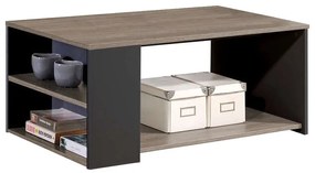 Τραπεζάκι Σαλονιού ArteLibre AMIRA Μοριοσανίδα Raw Endgrain Oak/Anthracite 110x60x42cm