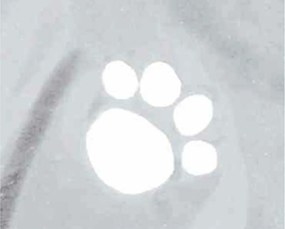 Αδιάβροχο Σκύλου Trixie Tarbes Διαφανές L