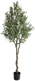 OLIVE TREE NP415_122 ΥΨΟΣ 122cm NewPlan