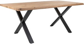 Τραπέζι Dilegno III