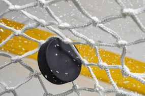 Φωτογραφία Close-up of an Ice Hockey puck, cmannphoto