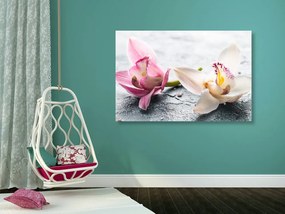 Εικόνα δύο πολύχρωμων λουλουδιών ορχιδέας - 120x80