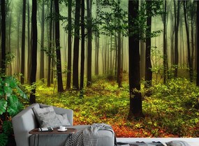 Ταπετσαρία τοίχου ετοίμων διαστάσεων δέντρα στο δάσος 02185Q 280cm x 360cm