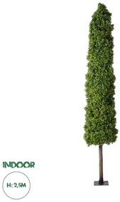 20158 GloboStar® Artificial Garden BUXUS 20158 Τεχνητό Διακοσμητικό Φυτό Πυξός Υ250cm