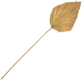 Διακοσμητικό Φύλλο Walsy Inart Ρalm leaf σε Φυσικό χρώμα Υ135εκ. 42x1.5x135 εκ.