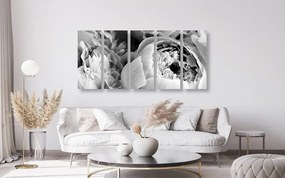 Εικόνα 5 τμημάτων ασπρόμαυρα πέταλα ενός λουλουδιού - 200x100