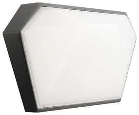 LED SMD WALL LUMINAIRE 10W 400LM 120° 230V AC 3.000K DARK GREY CRI80 IP65 30.000HRS - LG8203G