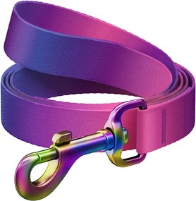 WAUDOG gradient nylon dog leash, 15mm wide, 122cm long, purple