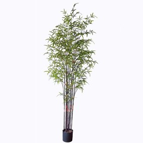 Τεχνητό Δέντρο Μπαμπού Nigra 7001-6 240cm Green Supergreens Polyethylene