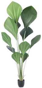Supergreens Τεχνητό Δέντρο Λικουάλα Πράσινο 210 εκ.
