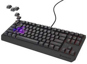 Genesis NKG-2079 Thor 230 TKL Gaming Μηχανικό Πληκτρολόγιο Tenkeyless με Outemu Brown διακόπτες και RGB φωτισμό (Αγγλικό US)