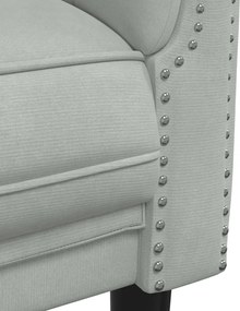 vidaXL Σετ Σαλονιού 2 Τεμαχίων Αν. Γκρι Βελούδινο