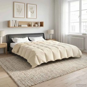 vidaXL Κουβέρτα ολόκληρου του χρόνου 260 x 240 cm