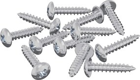 vidaXL Ξυλοβίδες 12 pcs Ασημί M3,5 x 20 mm Ατσάλι