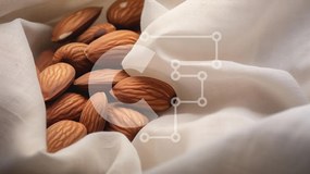 Intra Συλλεκτικό Ξύλινο Παζλ Plywood  4mm - Αμύγδαλα σε μαλακό ύφασμα Σε Ξύλινο Κουτί - Διαστάσεις: 10x10 cm – 25 κομμάτια