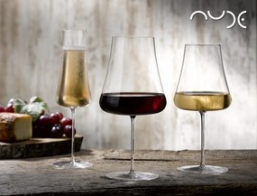 NUDE STEM ZERO CHAMPAGNE SET2 300CC H:26 P/288 GB2.OB12.