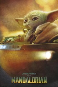 Αφίσα Star Wars: The Mandalorian - Grogu Pod, (61 x 91.5 cm)