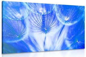 Εικόνα πικραλίδα σε μπλε - 120x80