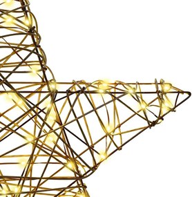 vidaXL 3D Αστέρι με 50 LED Θερμό λευκό 55 x 52.5 x 9 εκ Ρατάν