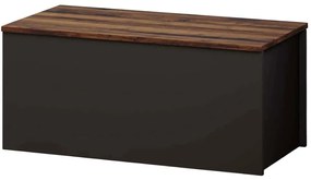 Μπαούλο Florya 382NRC2602 90x45x45,5cm Anthracite-Walnut