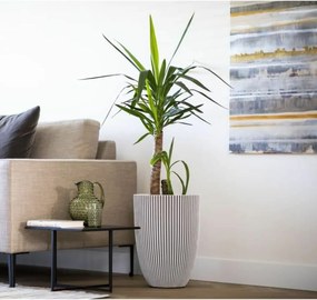 Γλάστρα Capi Europe Πλαστική ύλη Στρόγγυλο