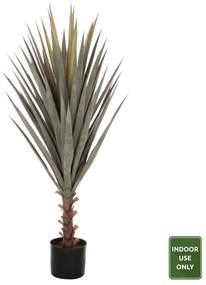 ΔΙΑΚΟΣΜΗΤΙΚΟ ΣΥΝΘΕΤΙΚΟ ΦΥΤΟ HM7987 SISAL AGAVE ΣΕ ΓΛΑΣΤΡΑ 120Υεκ. - 0419642 - HM7987