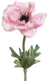 Beauty Home ΑΝΑΕΜΩΝΗ 57 CM