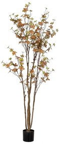 Φυτό Enkianthus 89787 170cm Natural-Green Πλαστικό