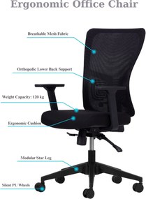 Office Chair Lumbar 108 - Black Black