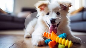 Σετ των 2 Intra Συλλεκτικό Ξύλινο Παζλ Plywood 4mm - Αξιολάτρευτο λευκό σκυλί με παιχνίδι Σε Ξύλινο Κουτί - Διαστάσεις: 10x10 cm – 25 κομμάτια