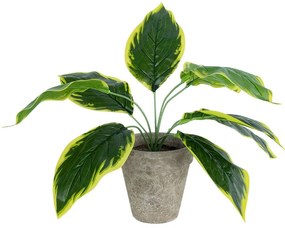 Τεχνητό Φυτό Σε Κασπώ Hosta 20899 Φ45x40cm Multi GloboStar Cement,Fabric