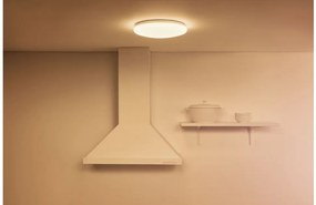 Έξυπνο Φωτιστικό Οροφής Πλαφονιέρα LED 17W Λευκό 2700Κ Dimmable Adria 929002685301 Wiz-929002685301-Λευκό 929002685301