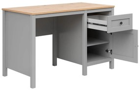 Τραπέζι γραφείου Boston DZ103, Με συρτάρια, Με πόρτες, 78x120x60cm, 43 kg, Ανοιχτό χρώμα ξύλου, Γκρι | Epipla1.gr
