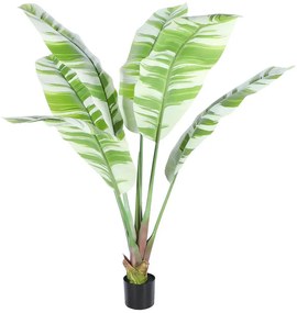 Τεχνητό Δέντρο Μπανάνα Albo 3801-6 160cm Green Supergreens Plastic